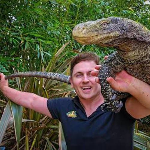 Jurassic Ark Encounters Experience
