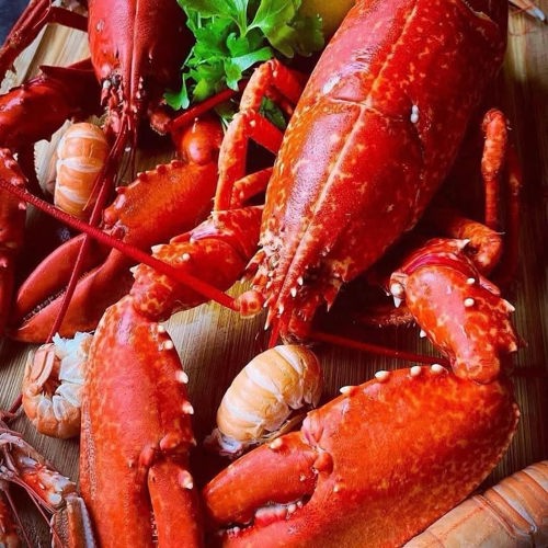 Seafood Supper Club